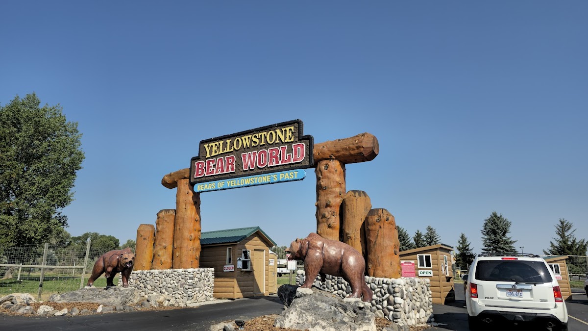 Yellowstone Bear World