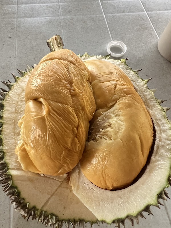 Balik Pulau 808 Durian