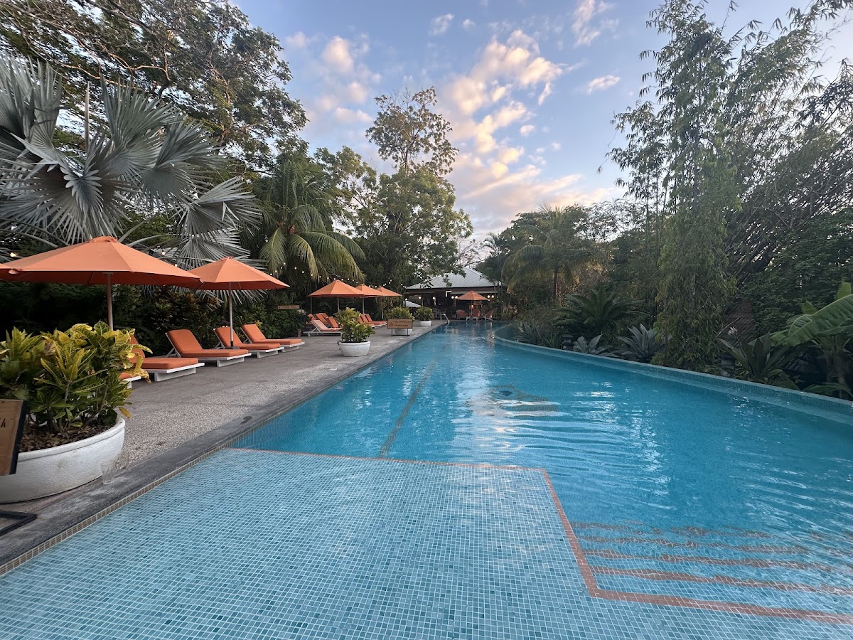 Bodhi Tree Yoga Resort — 4
