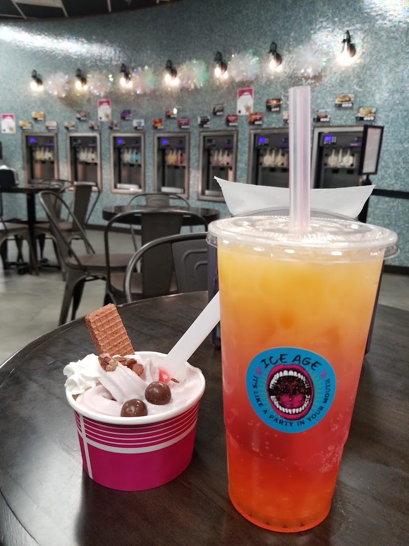 Ice Age Frozen Yogurt & Coffee photo 3