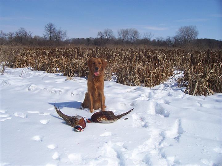 Exclusive Hunting Club - Photo 2