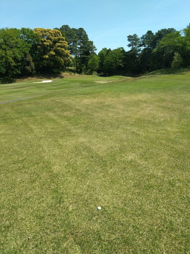 Wood Friends Shinrin Park Golf Course (Aichi Prefecture) - Photo 6