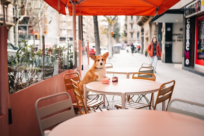 Restaurace