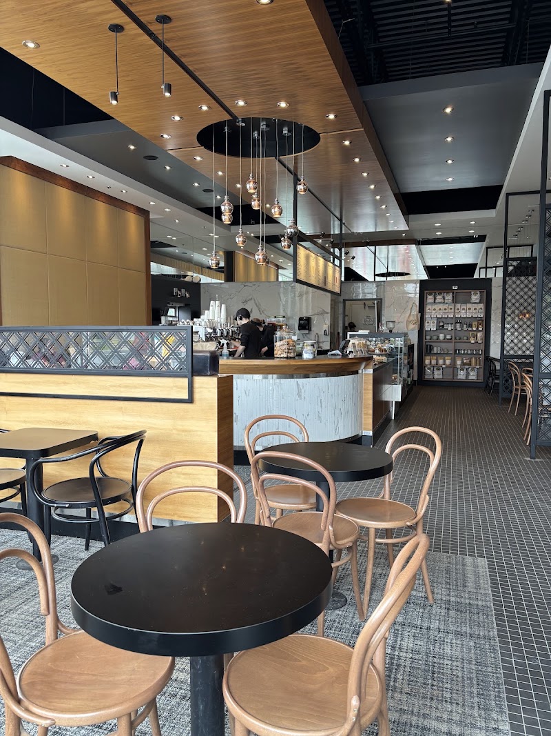 Café Morgane photo 4