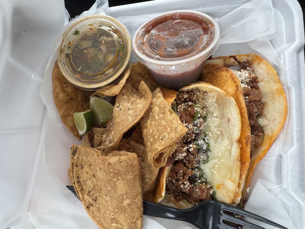 Rebel Taqueria photo 3