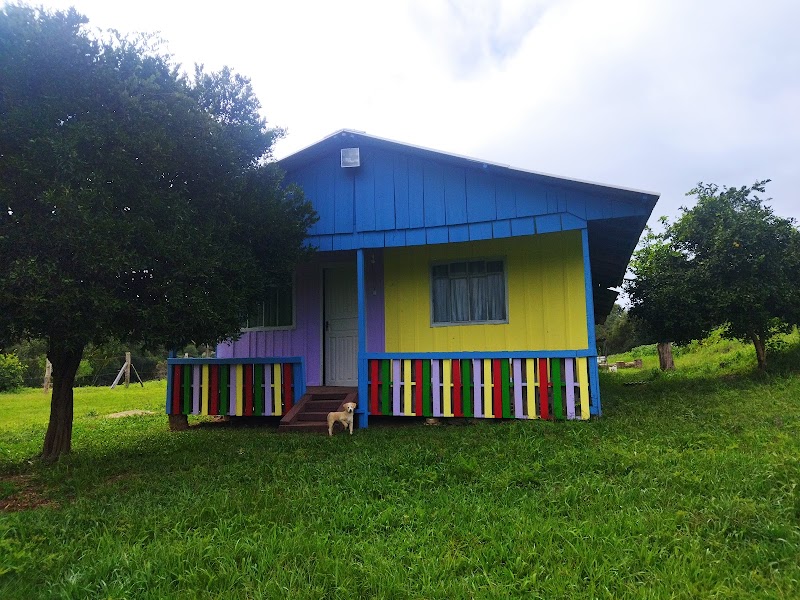 Foto de Shalom Pinturas em geral