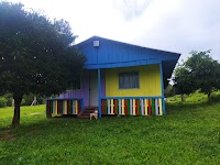 Shalom Pinturas em geral