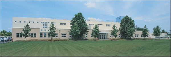 WHIP IT MIXES exterior