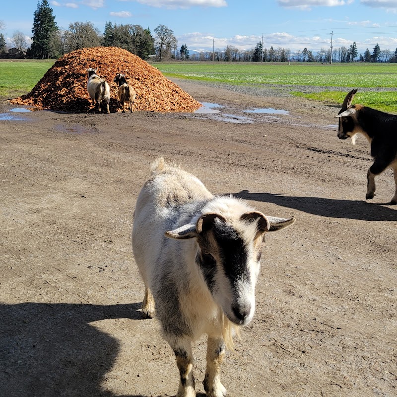 Fir Point Farms - Photo 1