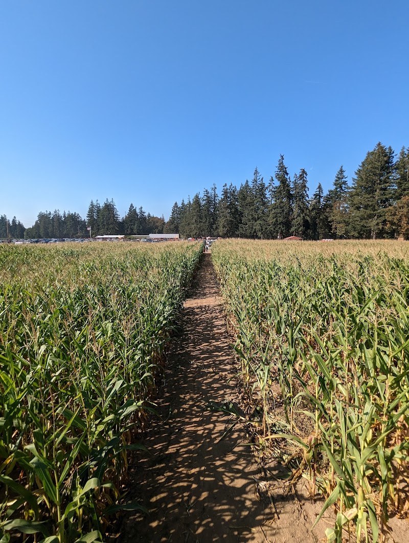 Fir Point Farms - Photo 2