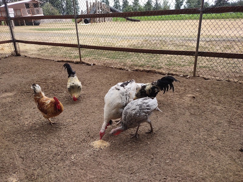 Fir Point Farms - Photo 3