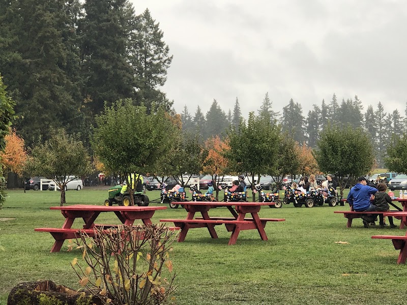 Fir Point Farms - Photo 4