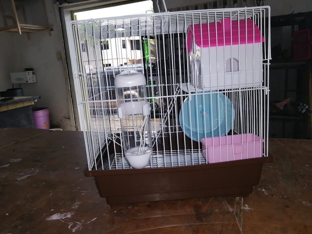Veterinaria Libertad 2 - Imagen 2