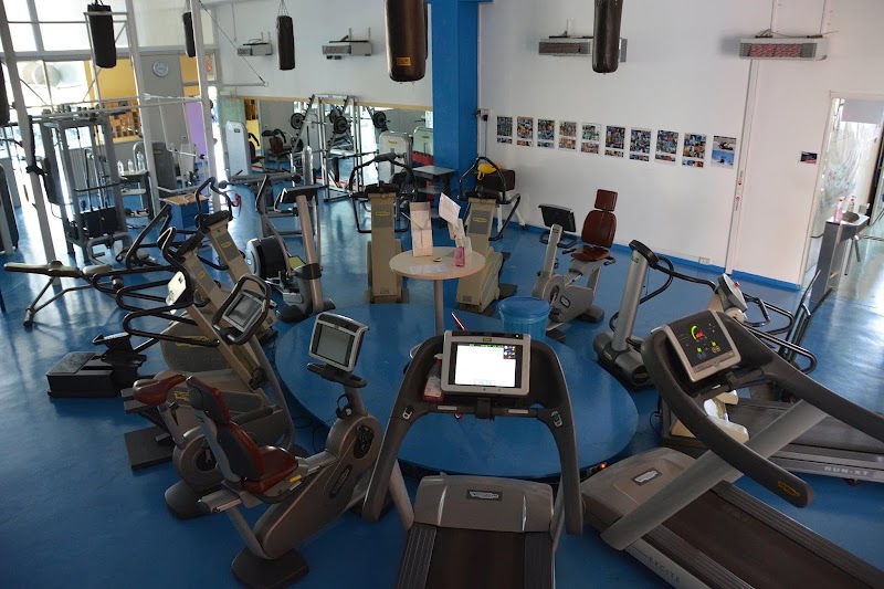 Wellness Club