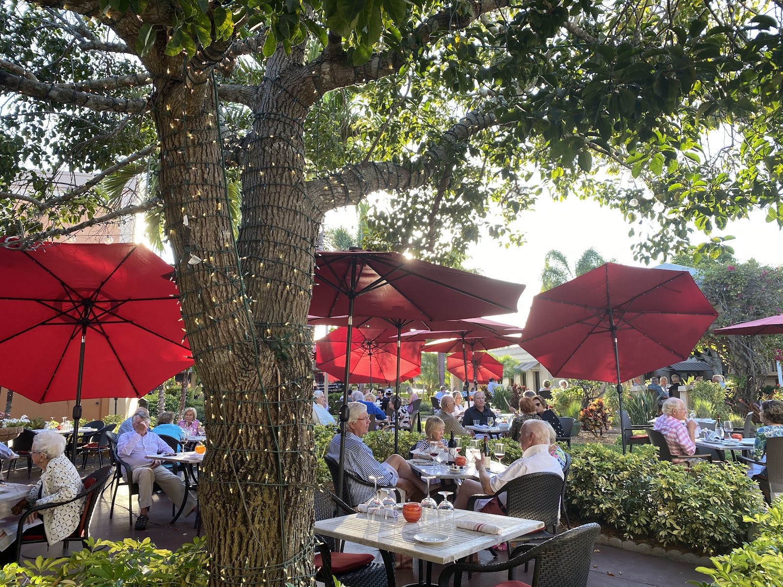 Alexander's Garden Restaurant