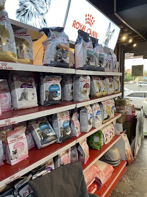 صقر الشمال البيطريه