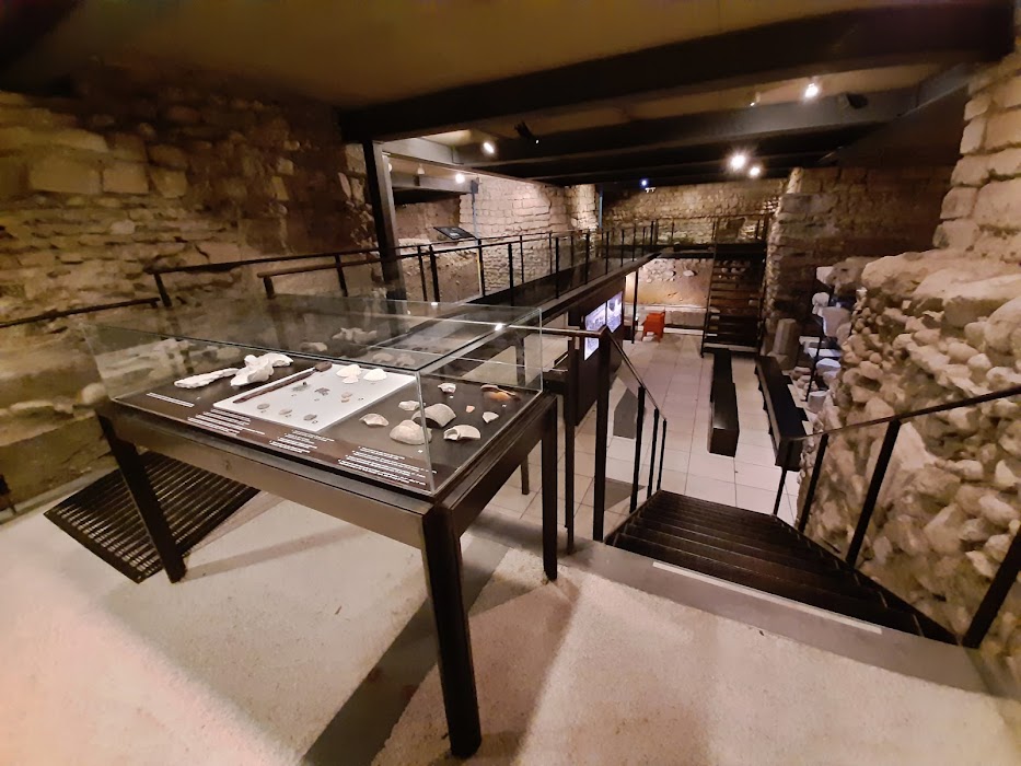 Site archéologique de la Cathédrale Saint-Pierre de Genève fotoğraf 1