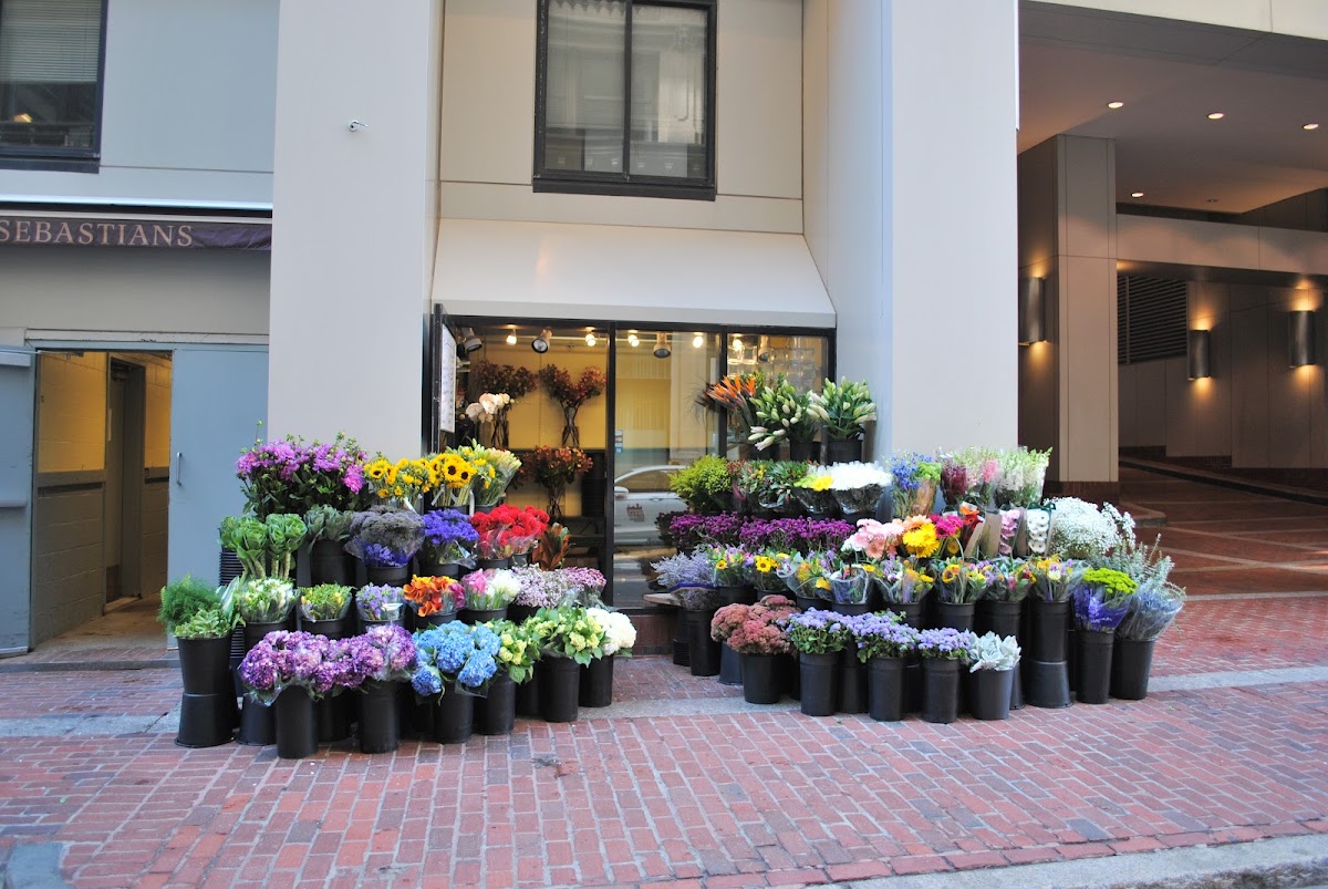 Downtown Crossing Flowers by robin: Google Places image 2