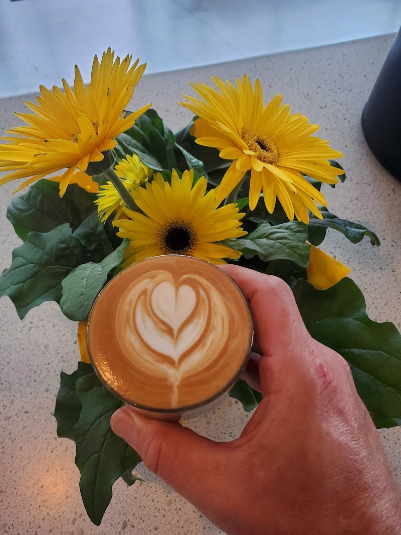 Milano Coffee Courtenay photo 3