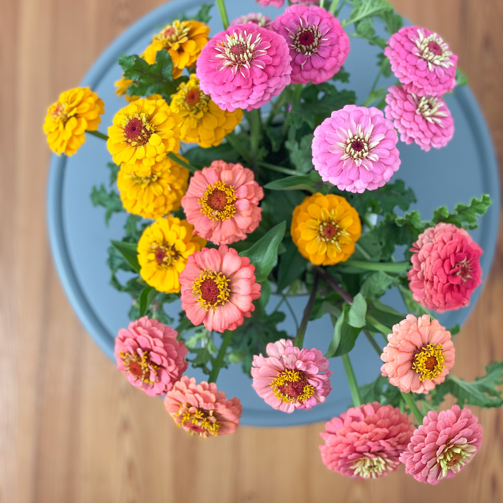 Sellwood Flower Company: Google Places image 2