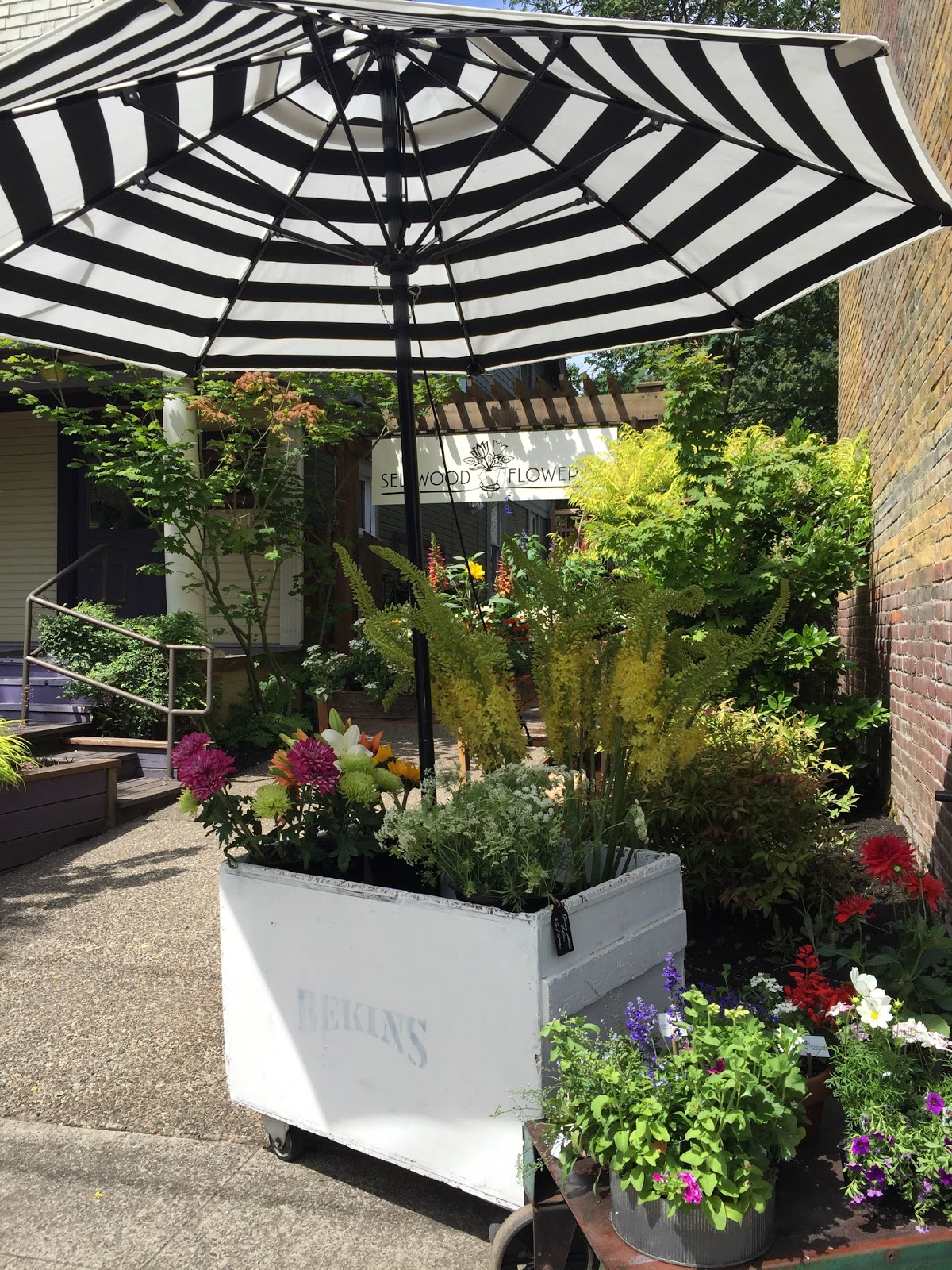 Sellwood Flower Company: Google Places image 3