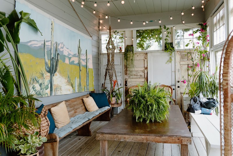 House of DIRT photo 7