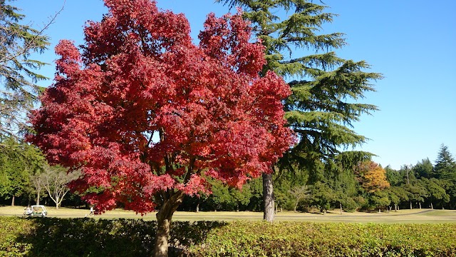 Otsu Atsugi Country Club Sakura Course - Photo 7