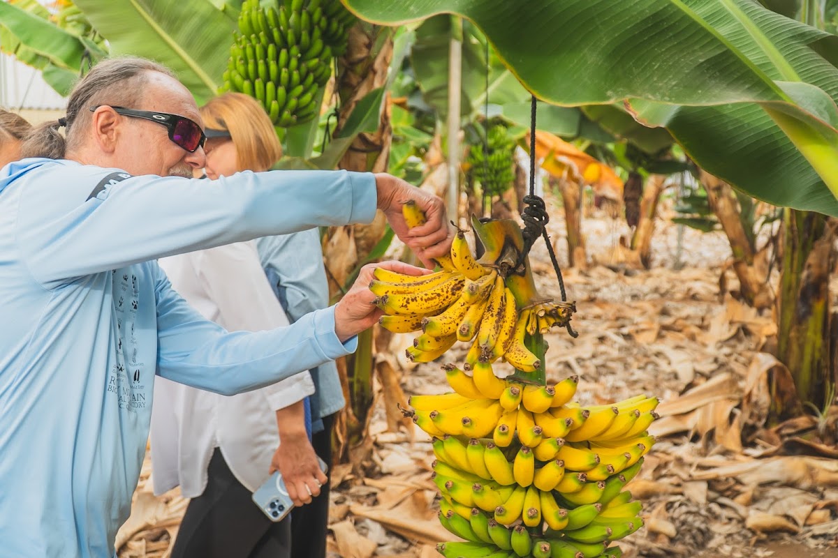 Healing Garden Tenerife — 3
