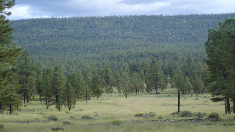 Ridgeline Outfitters - Photo 2