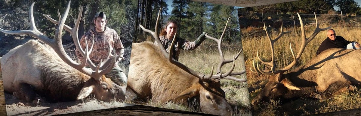 Ridgeline Outfitters