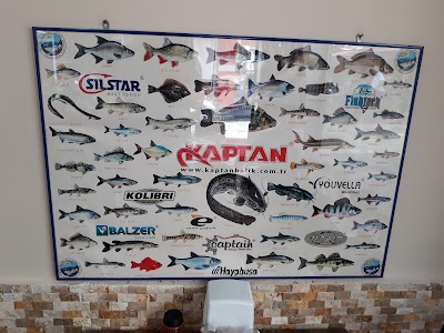 Yakamoz Balık Lokantası - Restoran