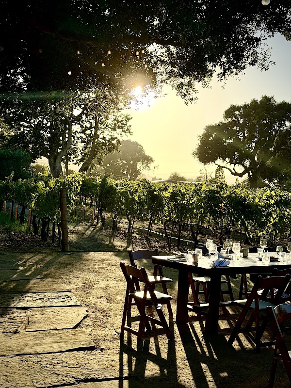 Vega Vineyard and Farm