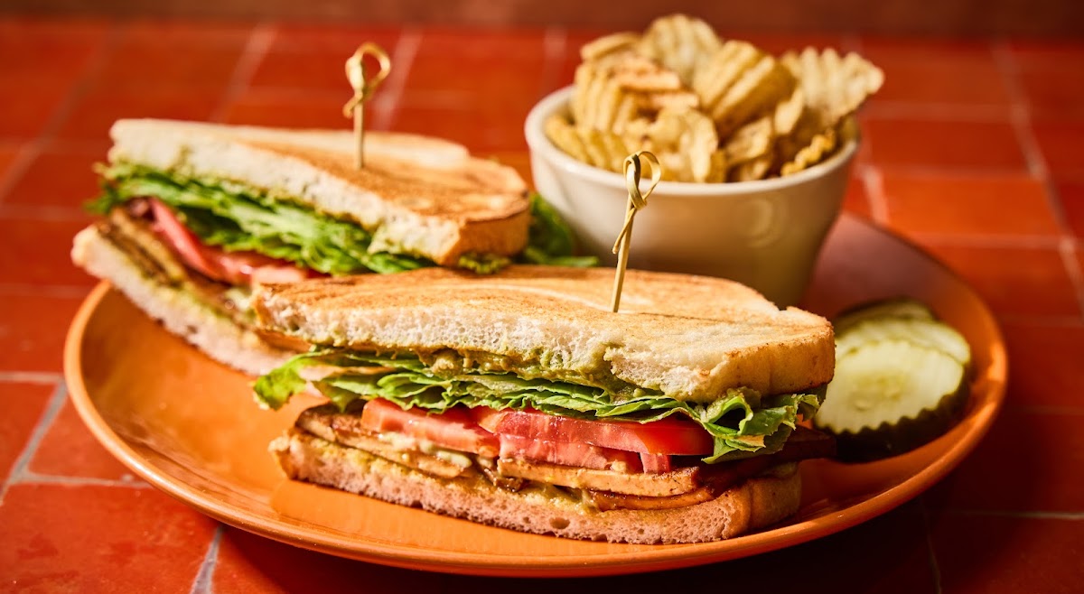 Bouldin Creek Cafe photo 2