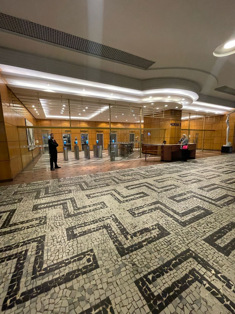 Dra Annelise Ribeiro - foto 5