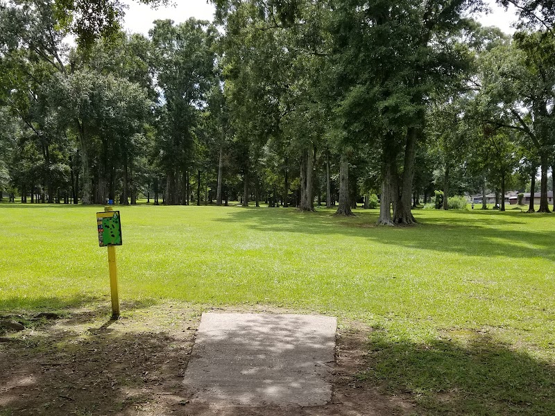 Pa Davis Park Disc Golf Course photo 1