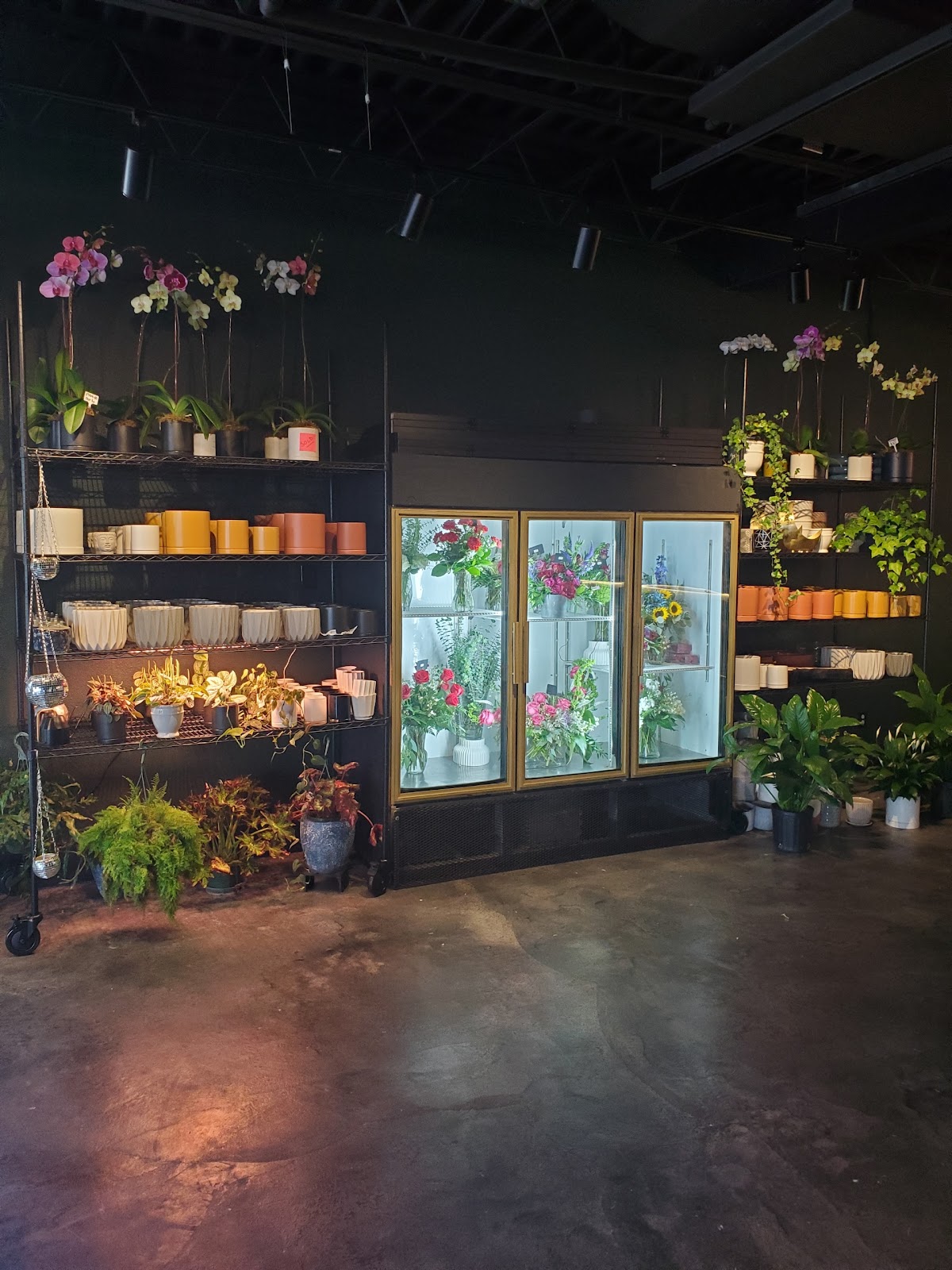Gemma Floral + Wine: Google Places image 1