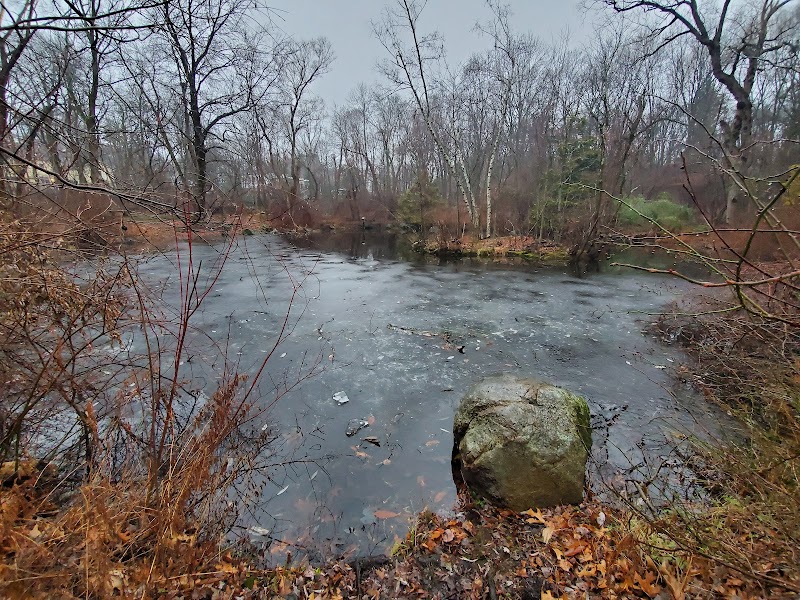 Mass Audubon's Habitat Education Center and Wildlife Sanctuary - Photo 4