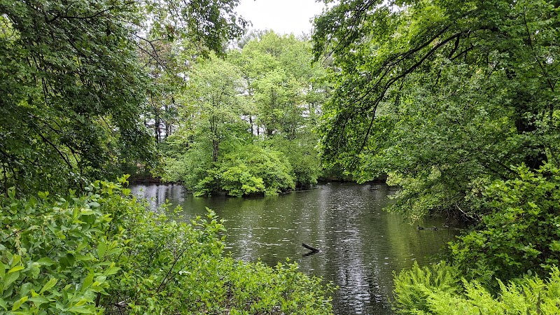 Mass Audubon's Habitat Education Center and Wildlife Sanctuary - Photo 1