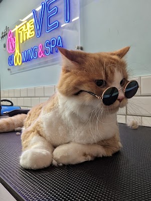 عيادة ذا ڤيت البيطرية the vet clinic