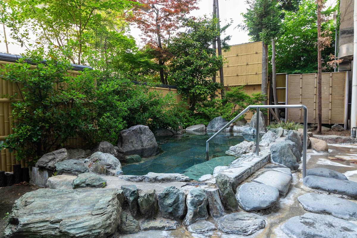 Tatami Onsen Izumiso - ryokan in Hakuba area, Nagano