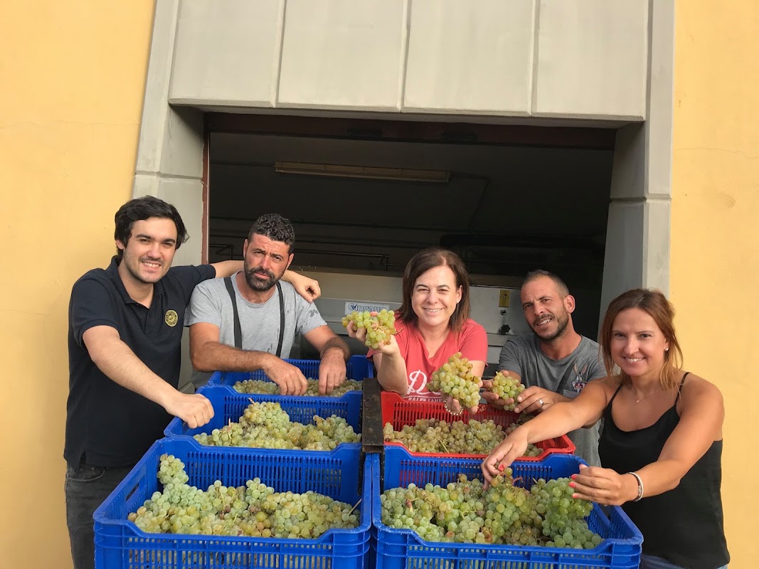 Bodegas Viñátigo