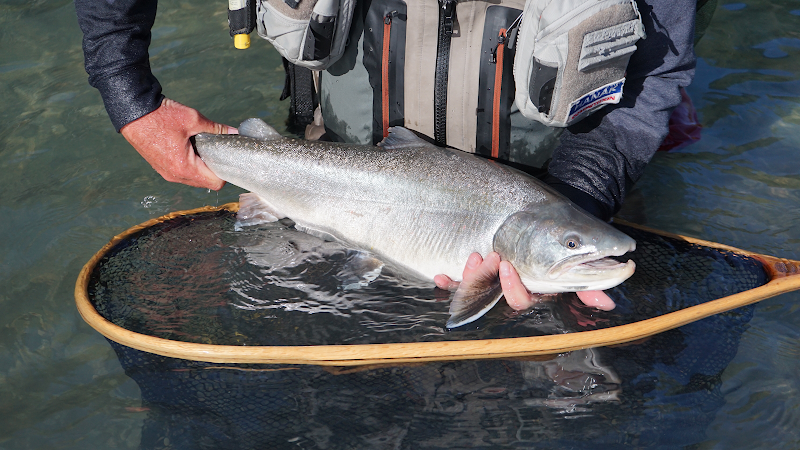 Valley Fishing Guides Ltd.