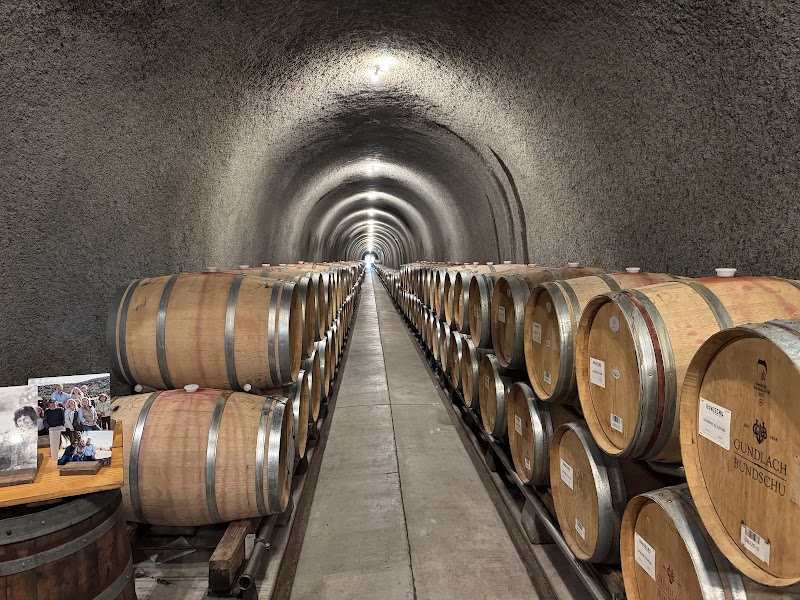 Private Cave and Vineyard tours with exclusive tastings