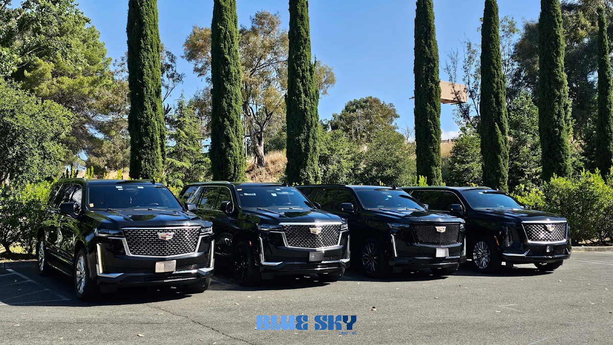 Blue Sky - Executive Black Car Service San Francisco: Google Places image 4