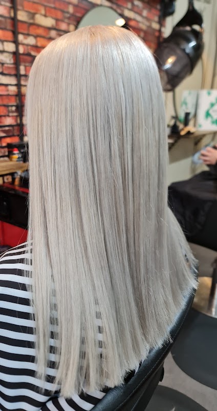 Alpha and Omega Studio photo 1