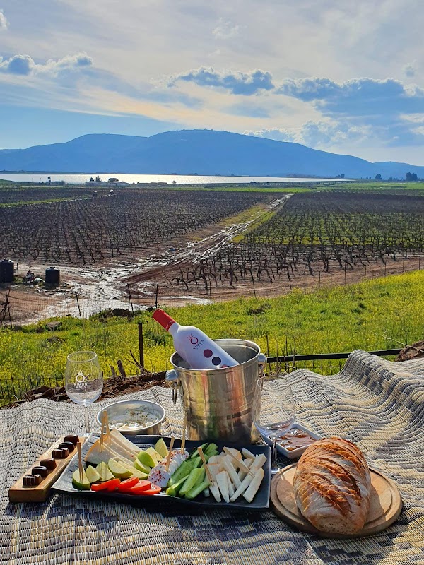 Rimon Winery