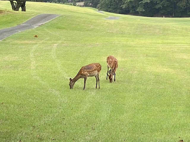 Yamaguchi Rainbow Hills Toyotako Golf Club - Photo 9