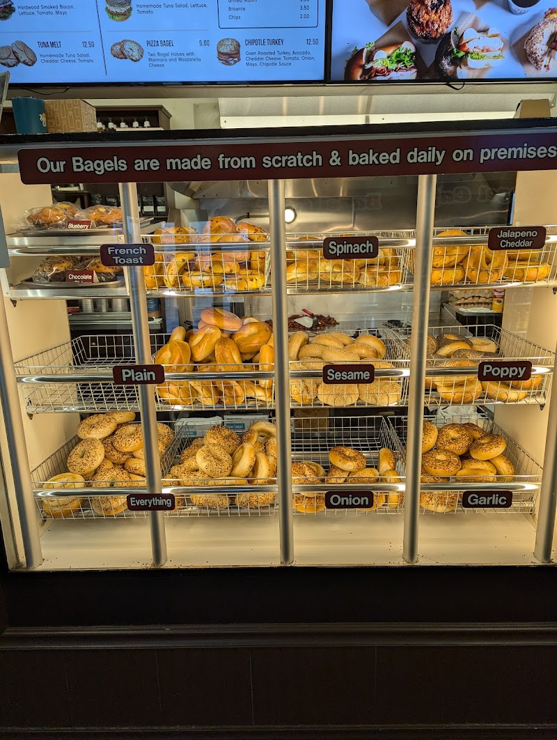 Bagel Cafe photo 3