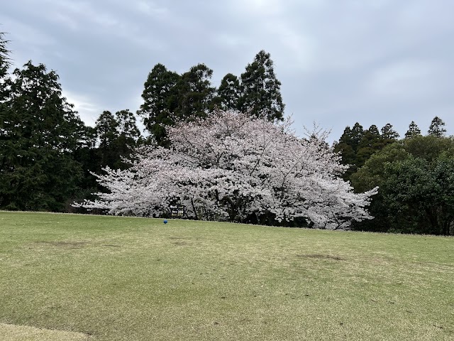 Anegasaki Country Club - Photo 7