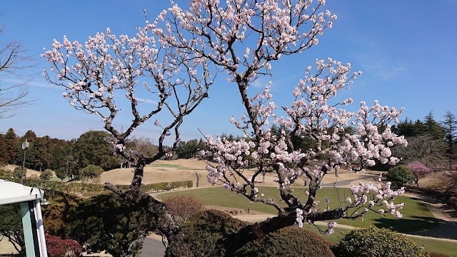 Anegasaki Country Club - Photo 8
